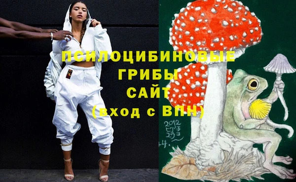 прущие крисы Михайловск